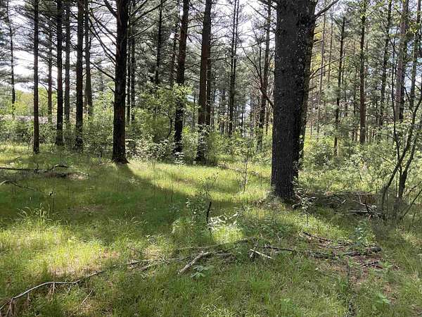 0.95 Acres of Residential Land for Sale in Wisconsin Rapids, Wisconsin