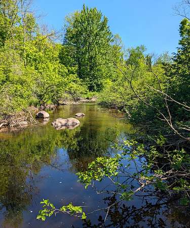 40 Acres of Land for Sale in Glen Flora, Wisconsin