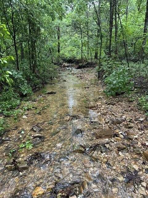 32.5 Acres of Recreational & Residential Land for Sale in Kirbyville, Missouri