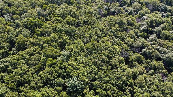 40 Acres of Recreational Land for Sale in Humansville, Missouri