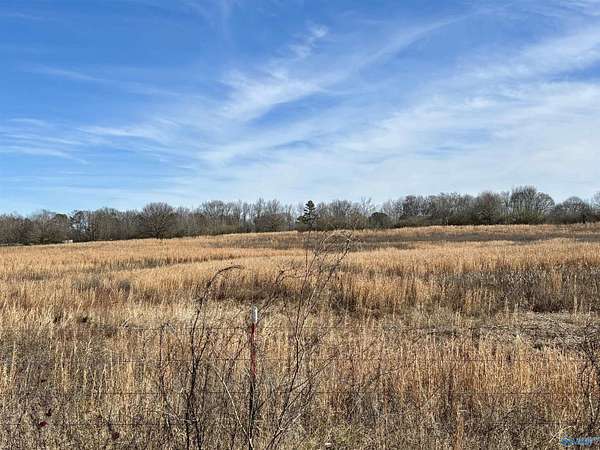 1.5 Acres of Land for Sale in Horton, Alabama