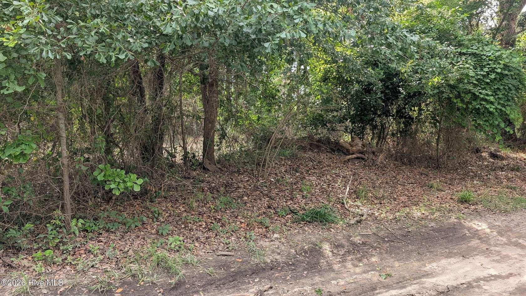 0.49 Acres of Residential Land for Sale in Hampstead, North Carolina