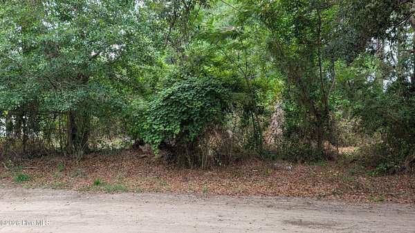 0.49 Acres of Residential Land for Sale in Hampstead, North Carolina