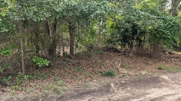 0.49 Acres of Residential Land for Sale in Hampstead, North Carolina