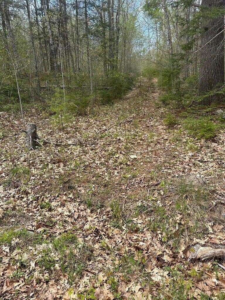 6 Acres of Residential Land for Sale in Steuben, Maine
