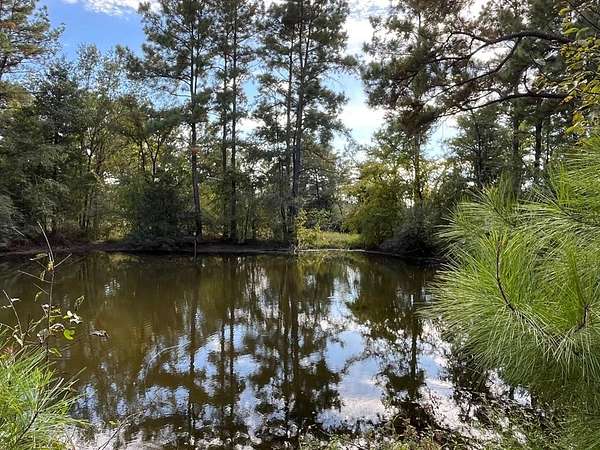 163 Acres of Recreational & Residential Land for Sale in Pennington, Texas