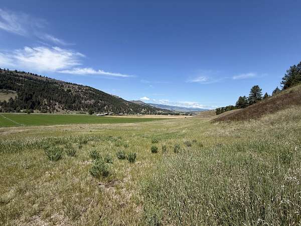 5.22 Acres of Residential Land for Sale in Malo, Washington