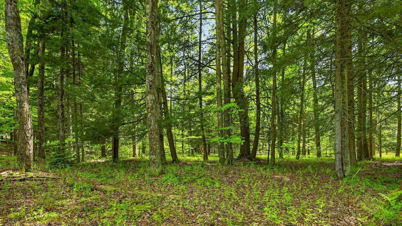 5.33 Acres of Land for Sale in Jefferson, New York