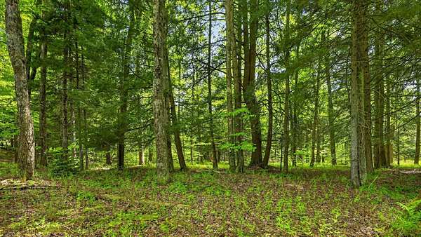 5.33 Acres of Land for Sale in Jefferson, New York