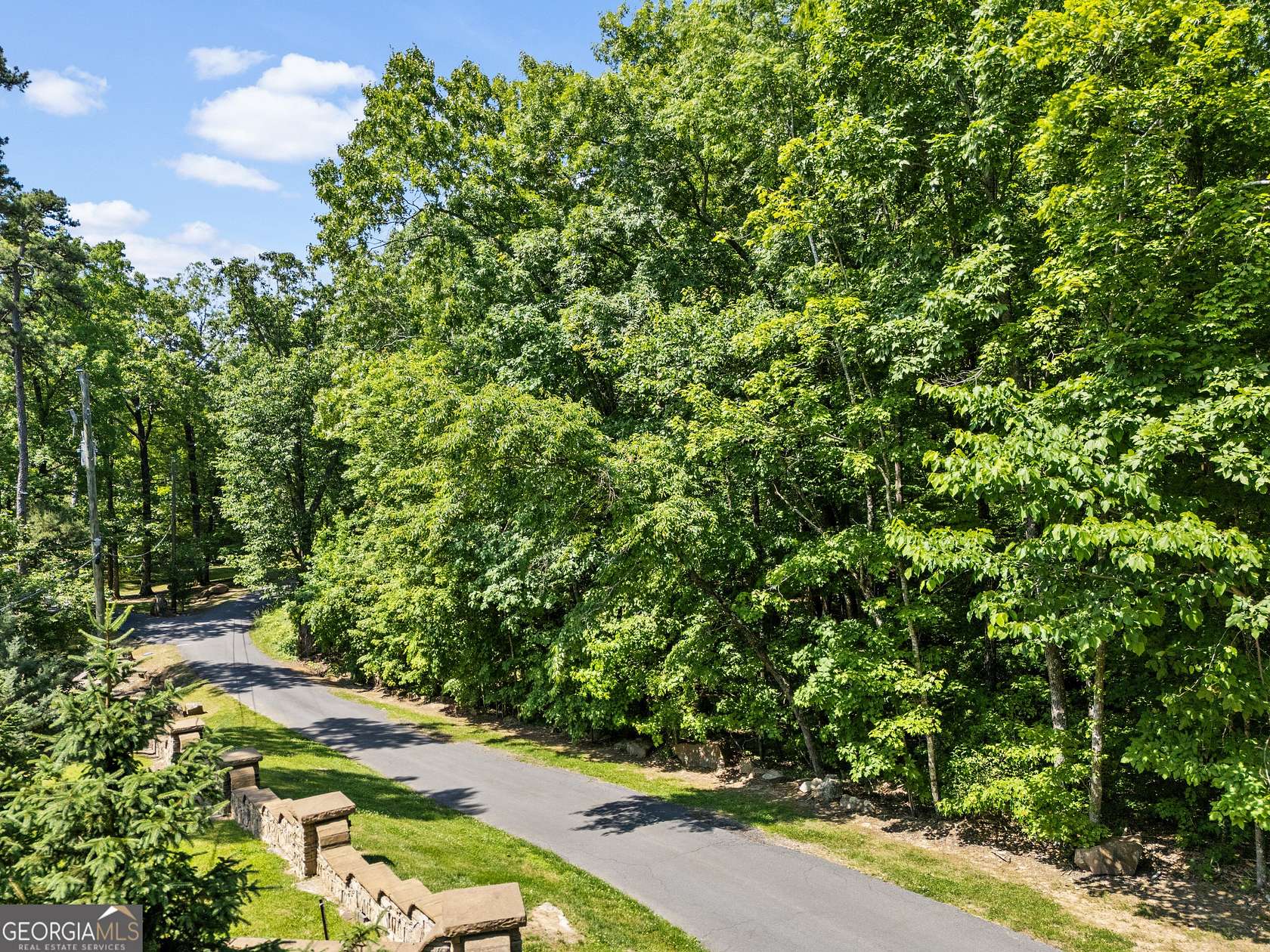73 Acres of Recreational & Residential Land for Sale in Menlo, Georgia