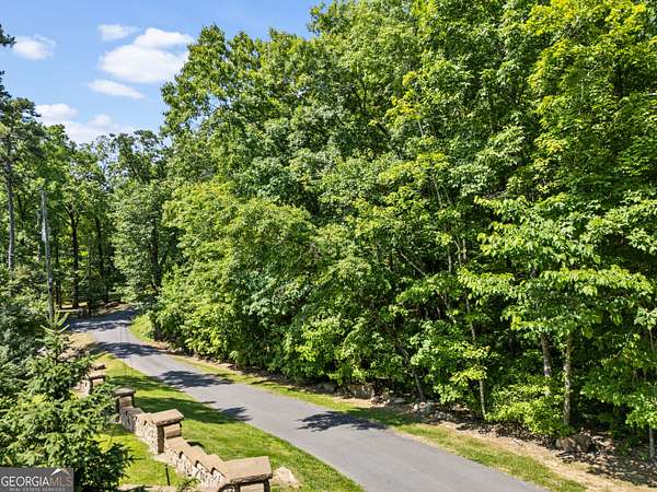 73 Acres of Recreational & Residential Land for Sale in Menlo, Georgia