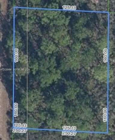 0.23 Acres of Residential Land for Sale in Lake Placid, Florida