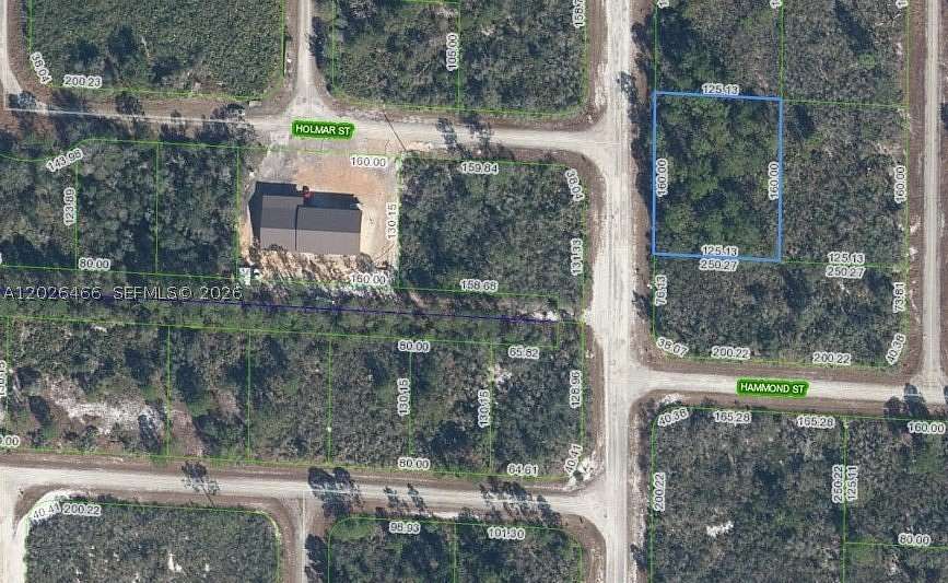 0.23 Acres of Residential Land for Sale in Lake Placid, Florida