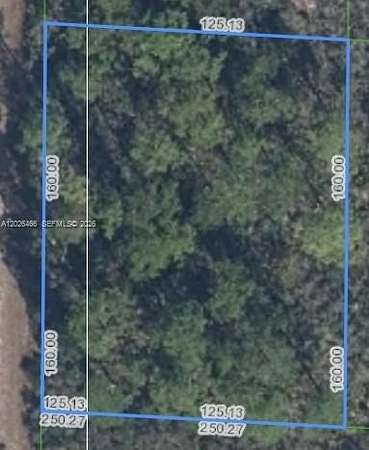0.23 Acres of Residential Land for Sale in Lake Placid, Florida