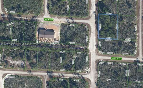 0.23 Acres of Residential Land for Sale in Lake Placid, Florida