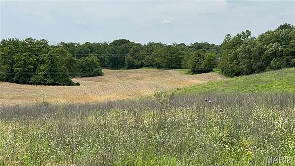 3 Acres of Residential Land for Sale in Florissant, Missouri
