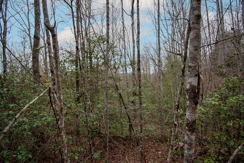 1.22 Acres of Residential Land for Sale in Murphy, North Carolina