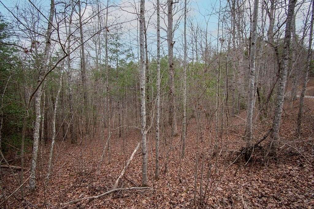 1.24 Acres of Land for Sale in Murphy, North Carolina