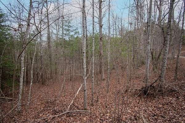 1.24 Acres of Land for Sale in Murphy, North Carolina