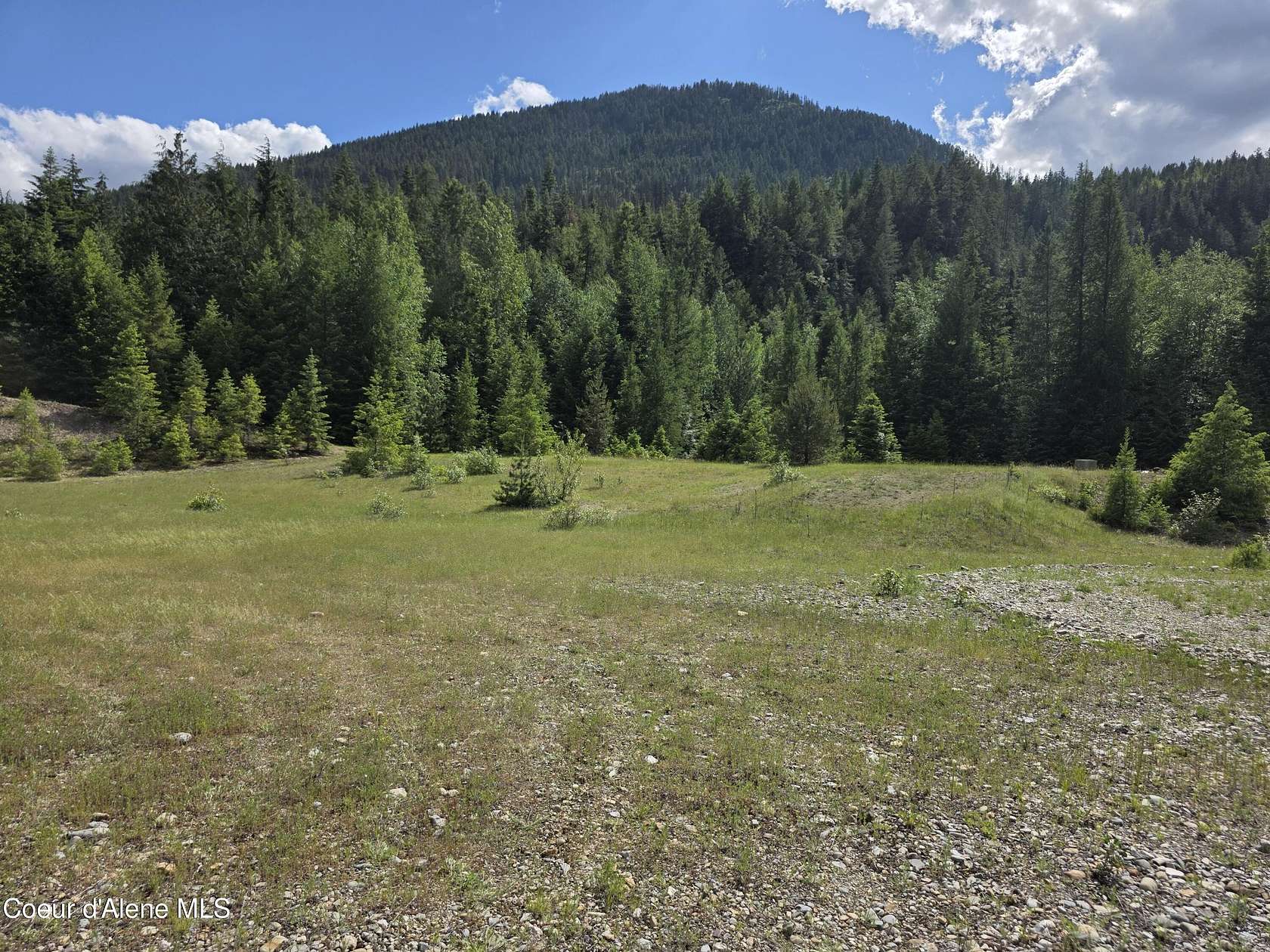 80 Acres of Land for Sale in Clark Fork, Idaho