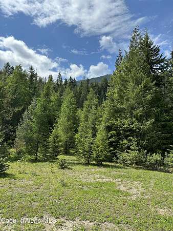 80 Acres of Land for Sale in Clark Fork, Idaho