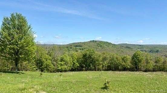 15.2 Acres of Land for Sale in Jeffersonville, New York