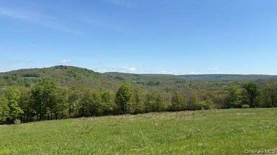 15.2 Acres of Land for Sale in Jeffersonville, New York