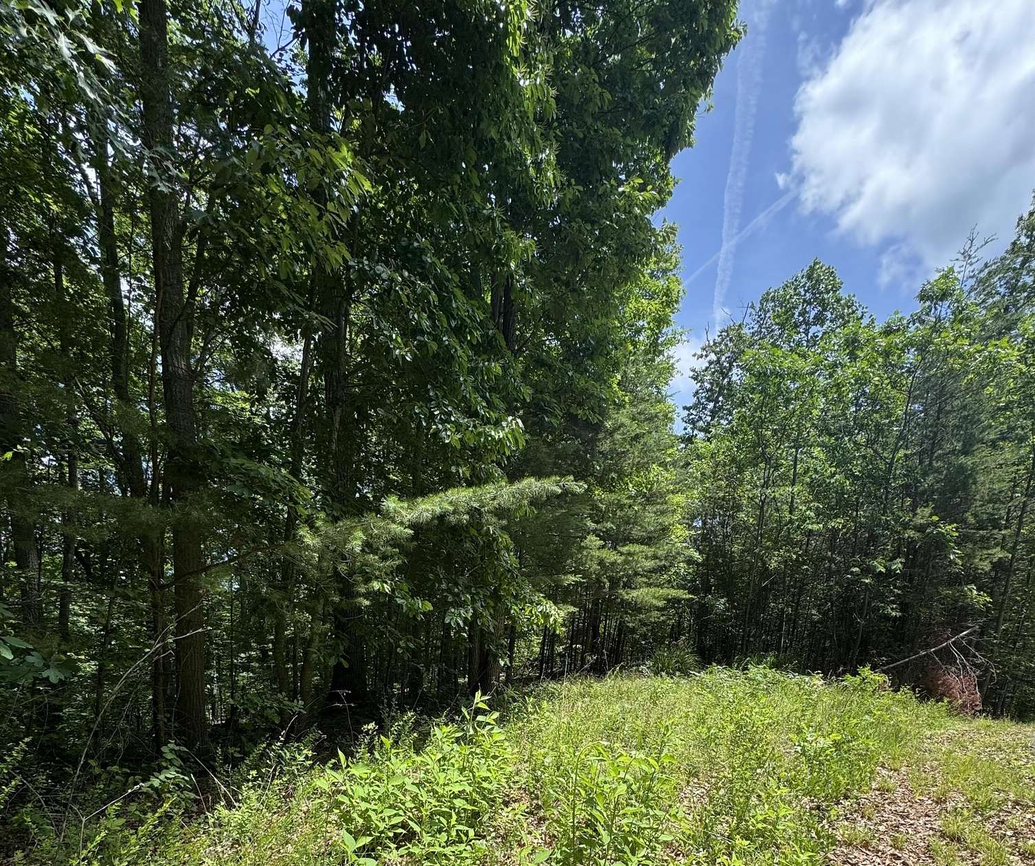 1.47 Acres of Residential Land for Sale in Monticello, Kentucky