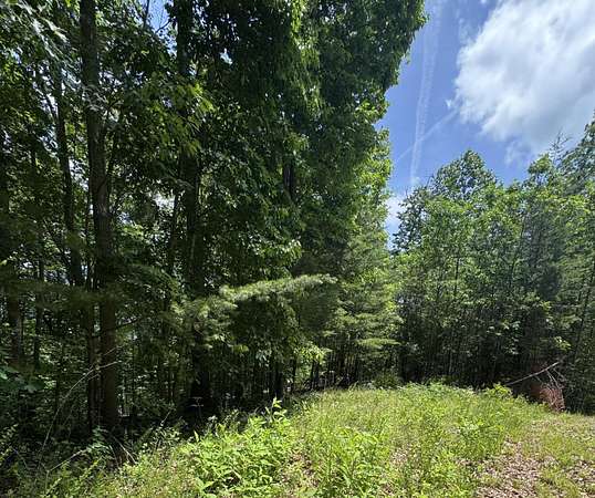 1.47 Acres of Residential Land for Sale in Monticello, Kentucky