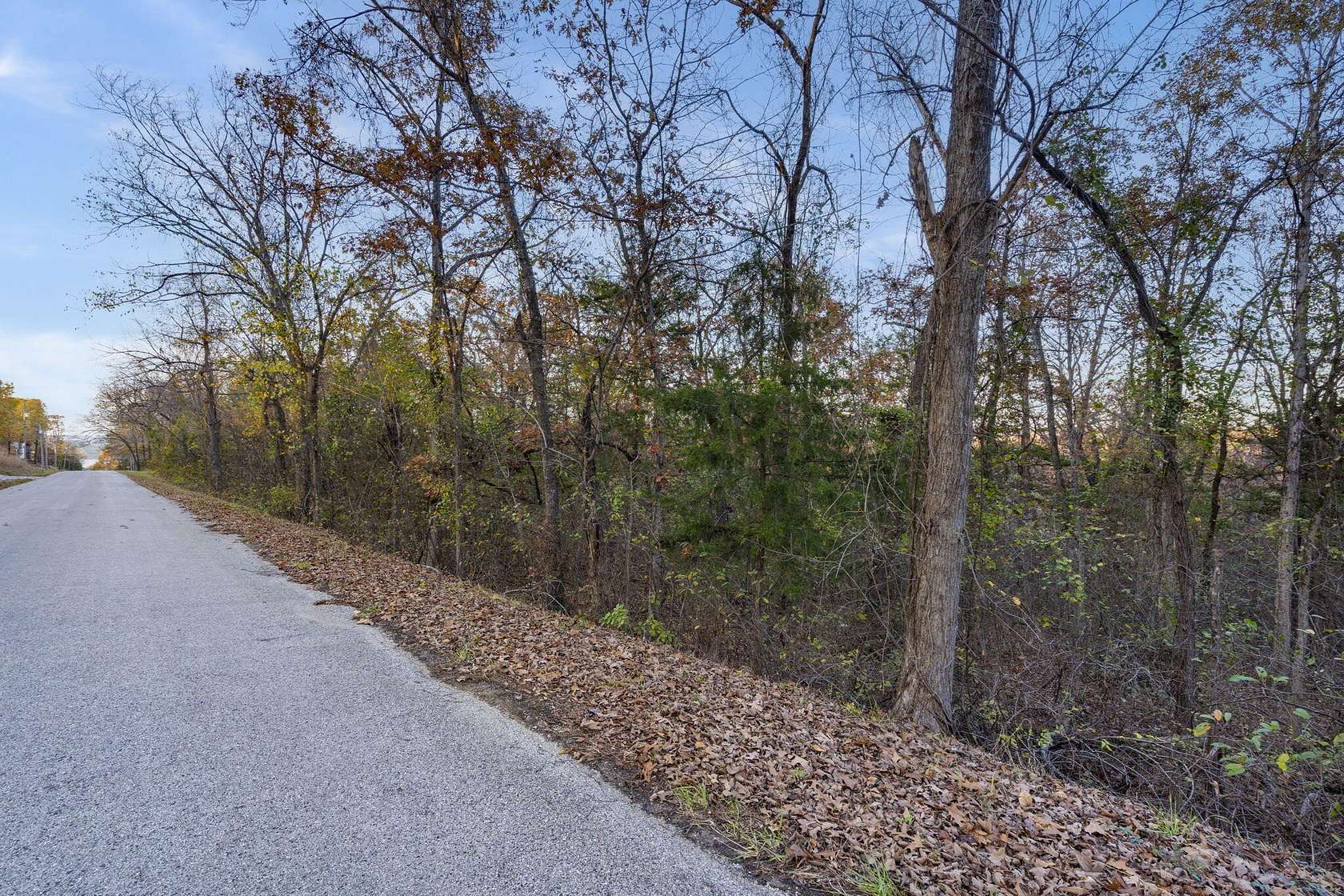0.42 Acres of Residential Land for Sale in Hollister, Missouri