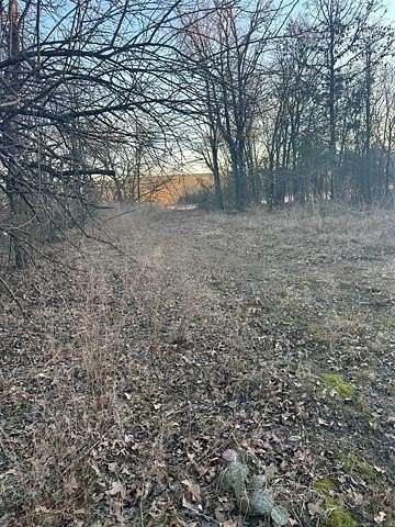 4 Acres of Residential Land for Sale in Moyers, Oklahoma