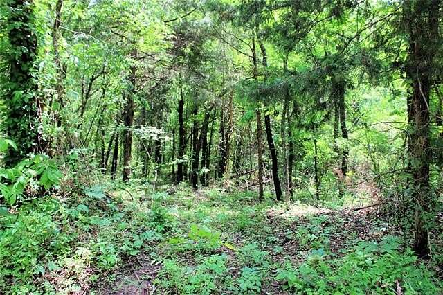 20 Acres of Recreational Land for Sale in Boswell, Oklahoma