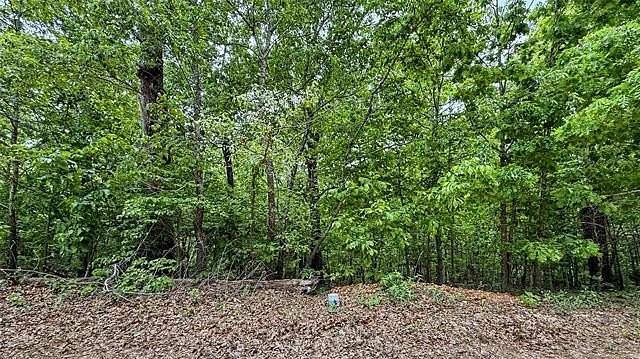 3 Acres of Land for Sale in Proctor, Oklahoma