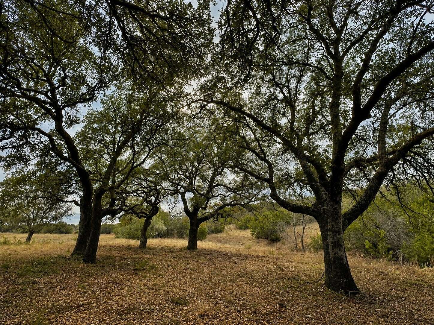 5.7 Acres of Residential Land for Sale in Glen Rose, Texas