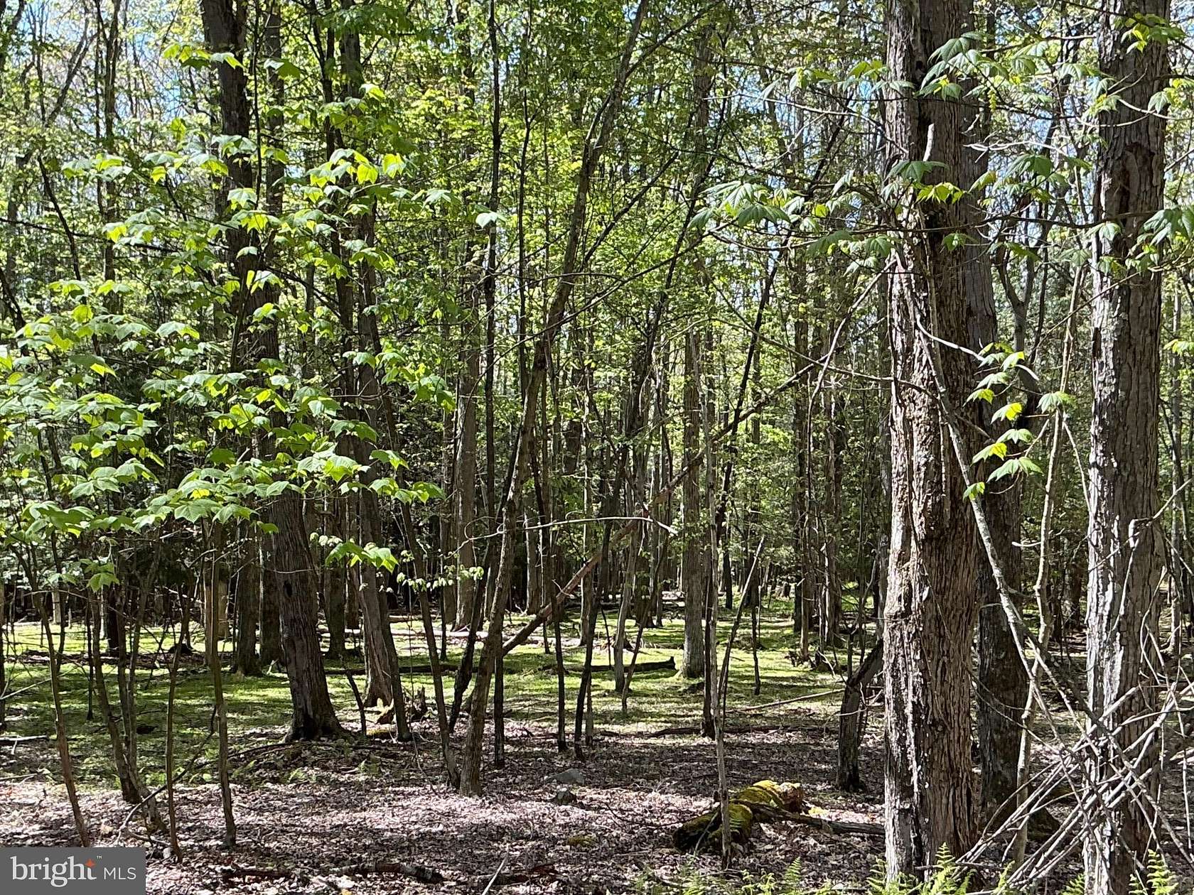 3.15 Acres of Residential Land for Sale in Oakland, Maryland