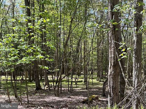 3.15 Acres of Residential Land for Sale in Oakland, Maryland