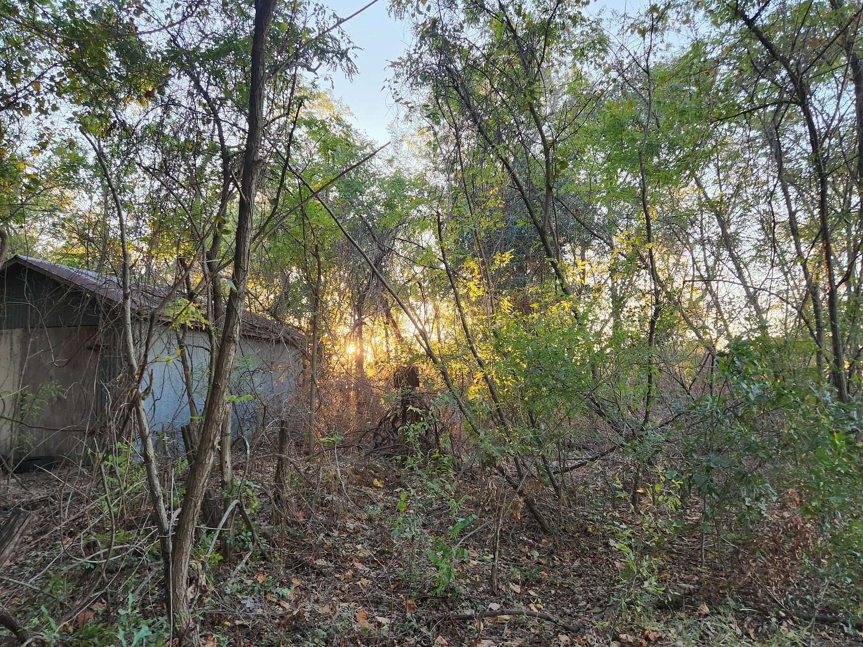 20.3 Acres of Agricultural Land for Sale in Eustace, Texas