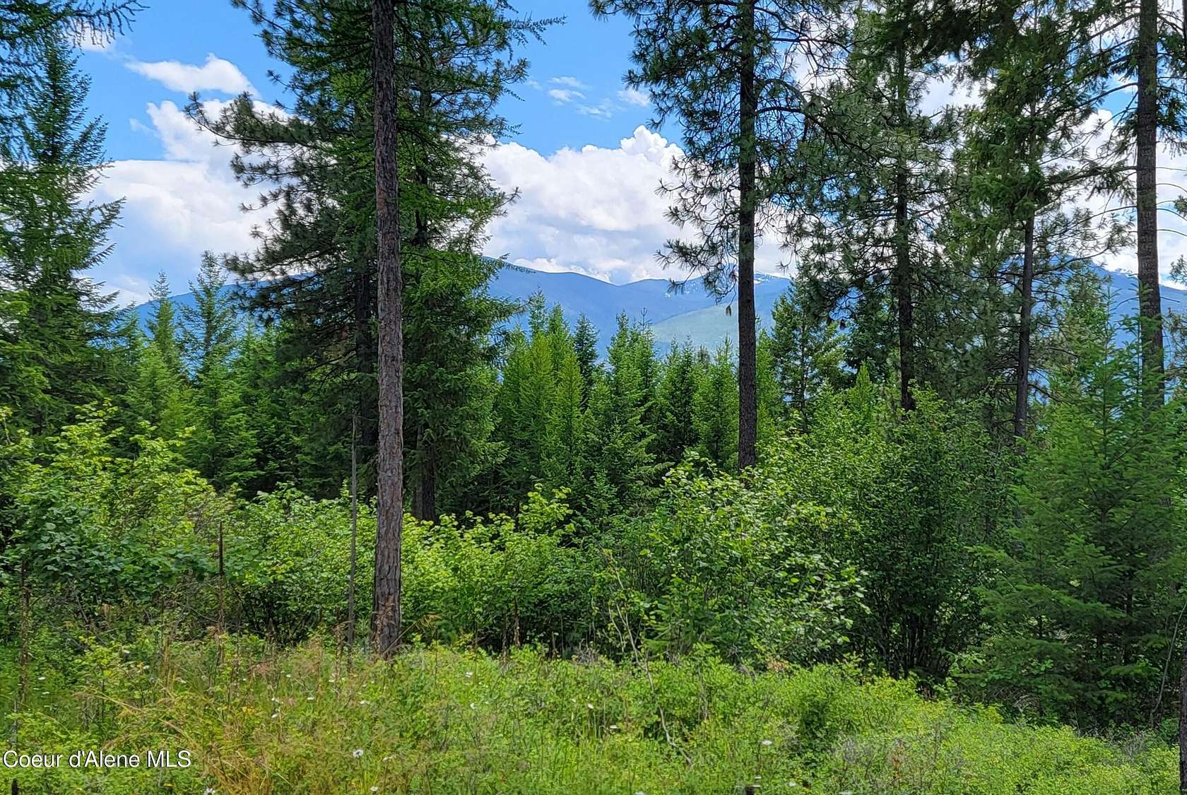 10.1 Acres of Land for Sale in Bonners Ferry, Idaho