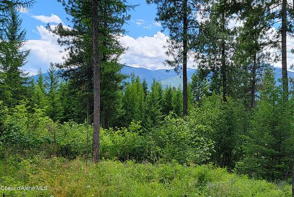 10.1 Acres of Land for Sale in Bonners Ferry, Idaho