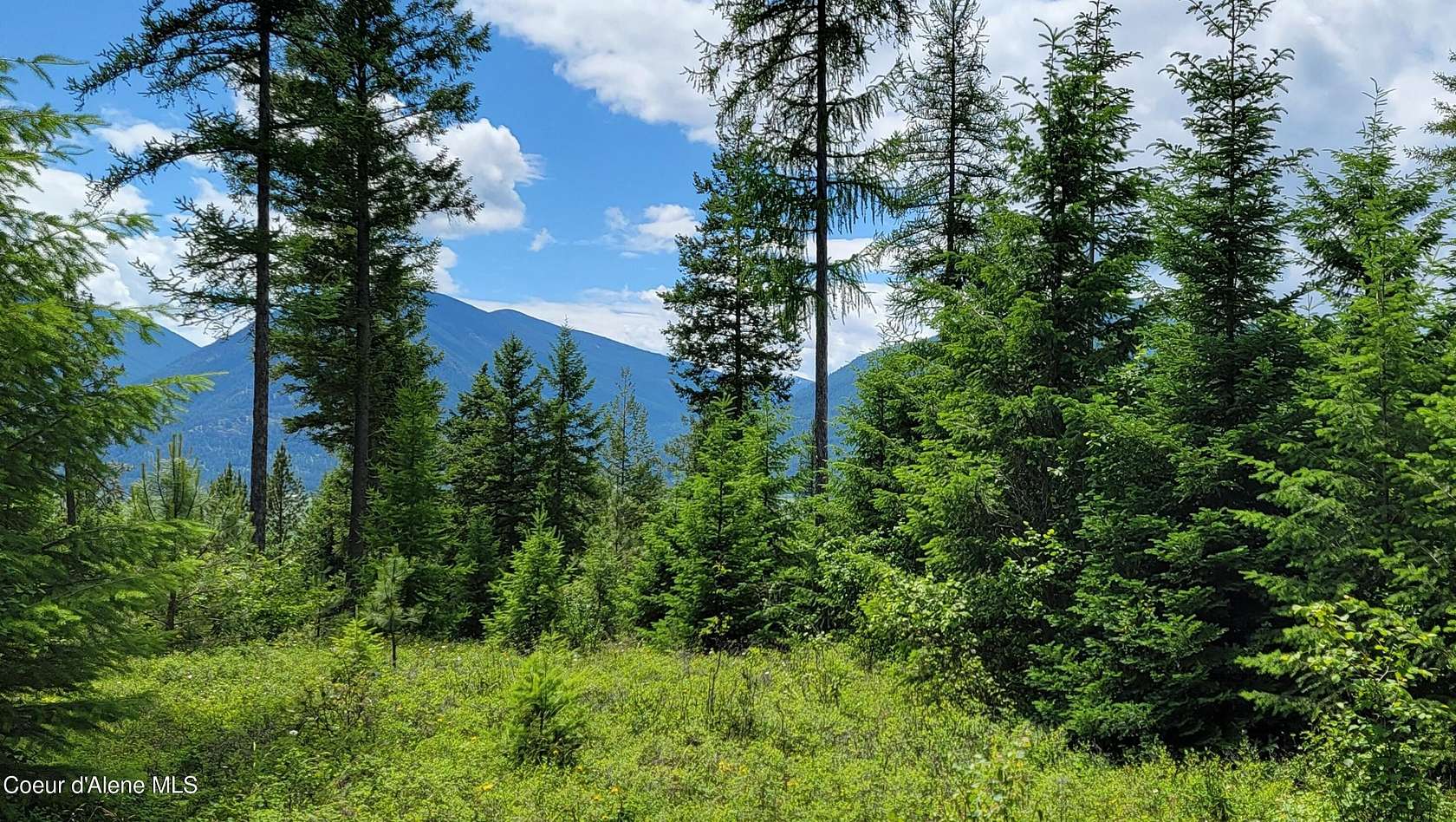 10 Acres of Recreational Land for Sale in Bonners Ferry, Idaho