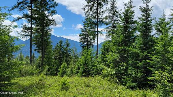 10 Acres of Recreational Land for Sale in Bonners Ferry, Idaho