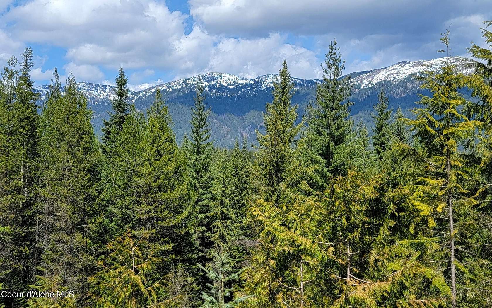 10 Acres of Land for Sale in Bonners Ferry, Idaho