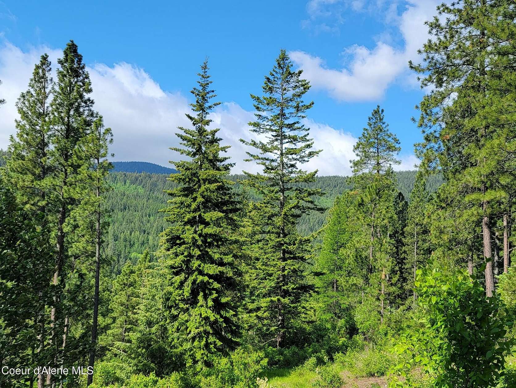 10.3 Acres of Recreational Land for Sale in Bonners Ferry, Idaho