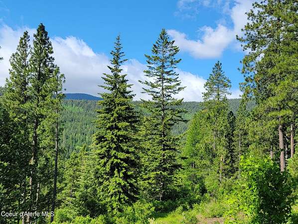 10.3 Acres of Recreational Land for Sale in Bonners Ferry, Idaho
