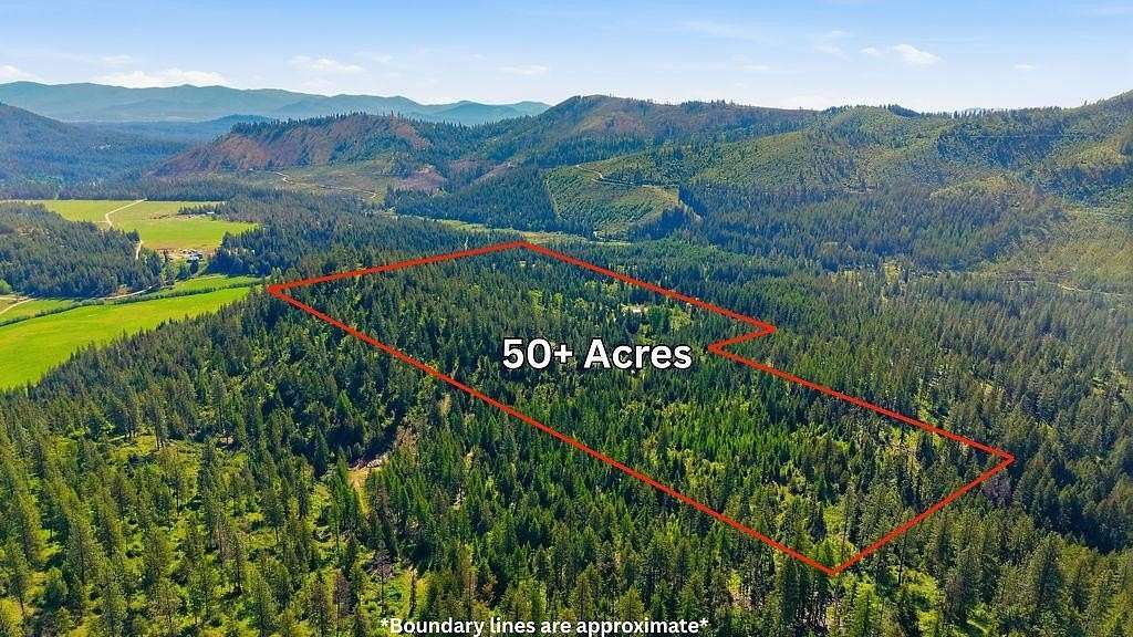 50 Acres of Land for Sale in Valley, Washington