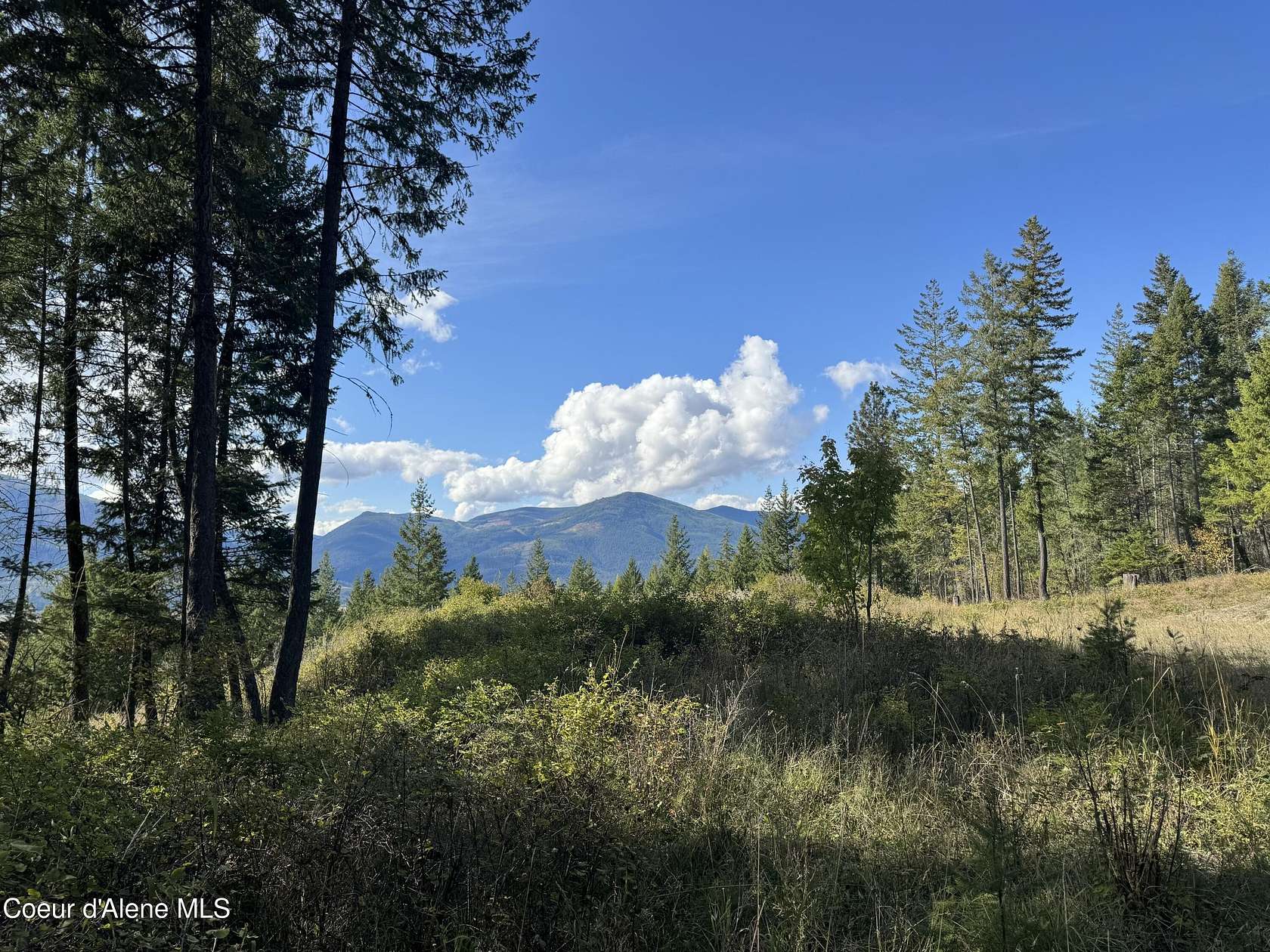 10 Acres of Recreational Land for Sale in Bonners Ferry, Idaho