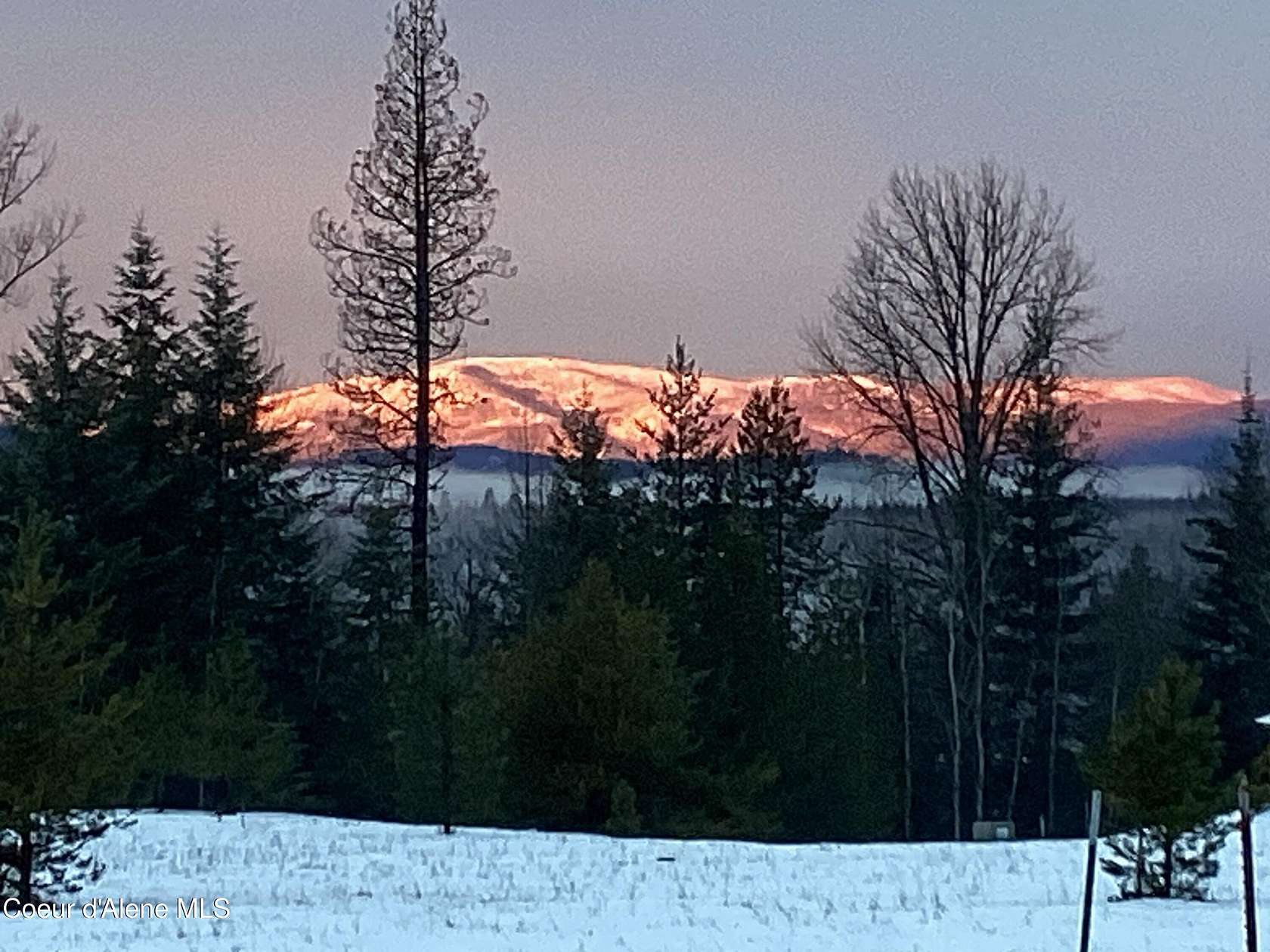 5 Acres of Agricultural Land for Sale in Priest River, Idaho