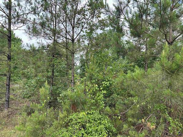 2.63 Acres of Land for Sale in Oglethorpe, Georgia