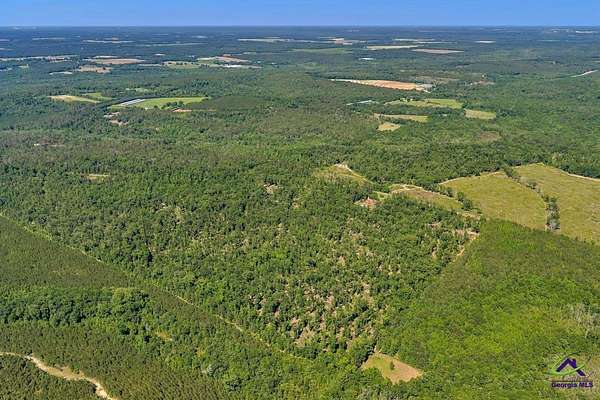 2 Acres of Land for Sale in Oglethorpe, Georgia