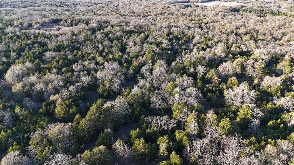 25.9 Acres of Land for Sale in Teague, Texas
